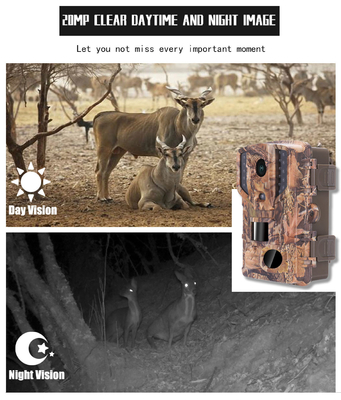 Wildlife 30FPS IP66 Waterproof Hunting Camera High Definition 1080P 20MP LCD 32pcs